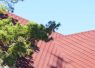 Hurricane Season Roof Prep Guide